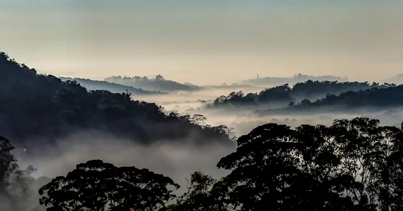 Serra do Japi coberta de neblina ao amanhecer em Jundiaí (SP)